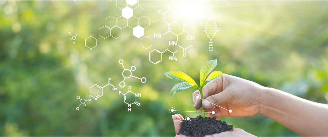 A young leaf cutting in soil being held in a hand with chemical symbols overlaid