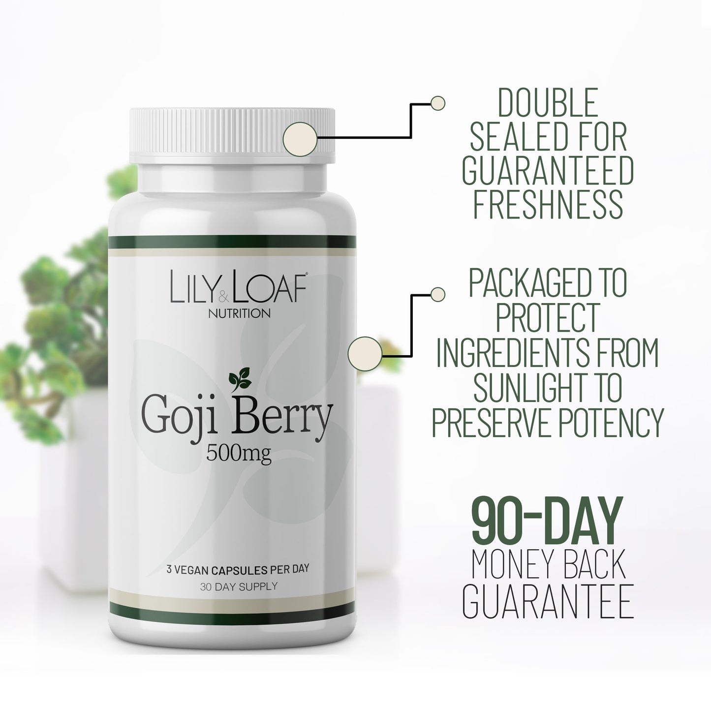 Goji Berry female promoting vitality