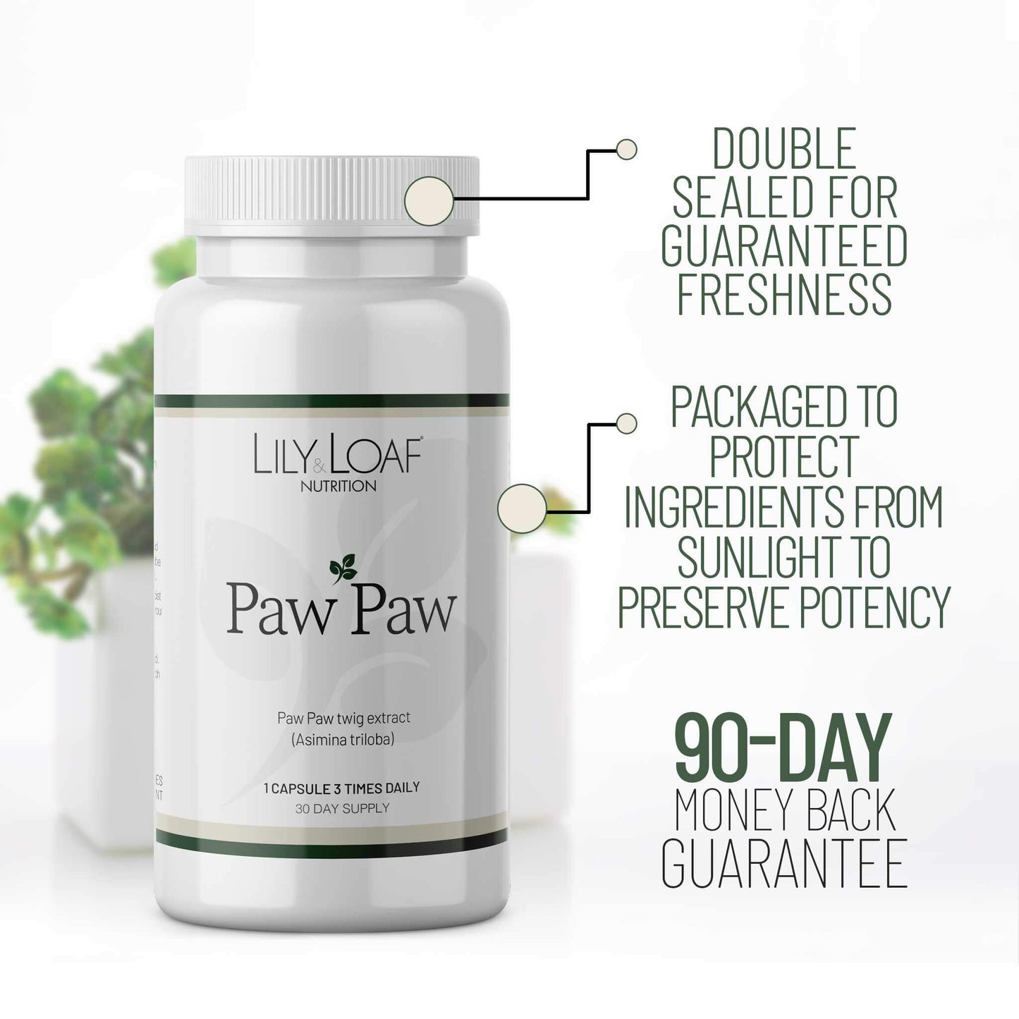 Lily & Loaf Paw Paw packaging and 90-day guarantee