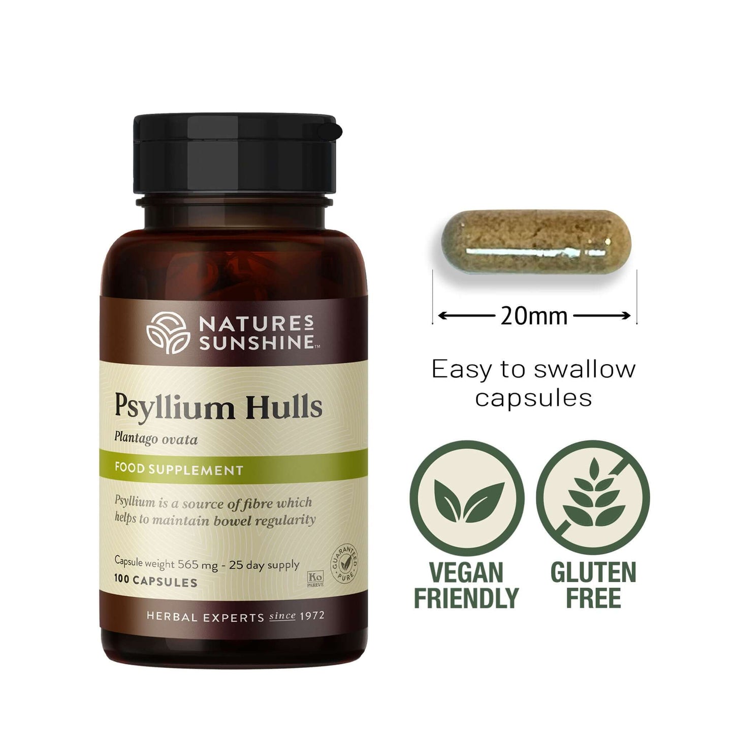 Psyllium Hulls