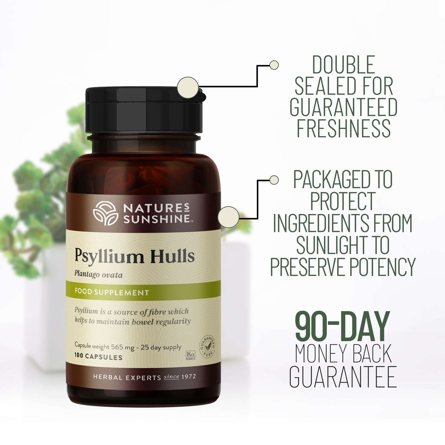Psyllium Hulls