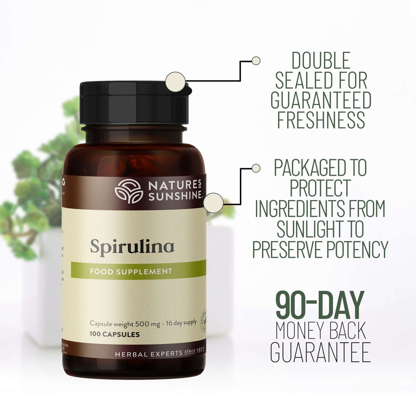 Spirulina