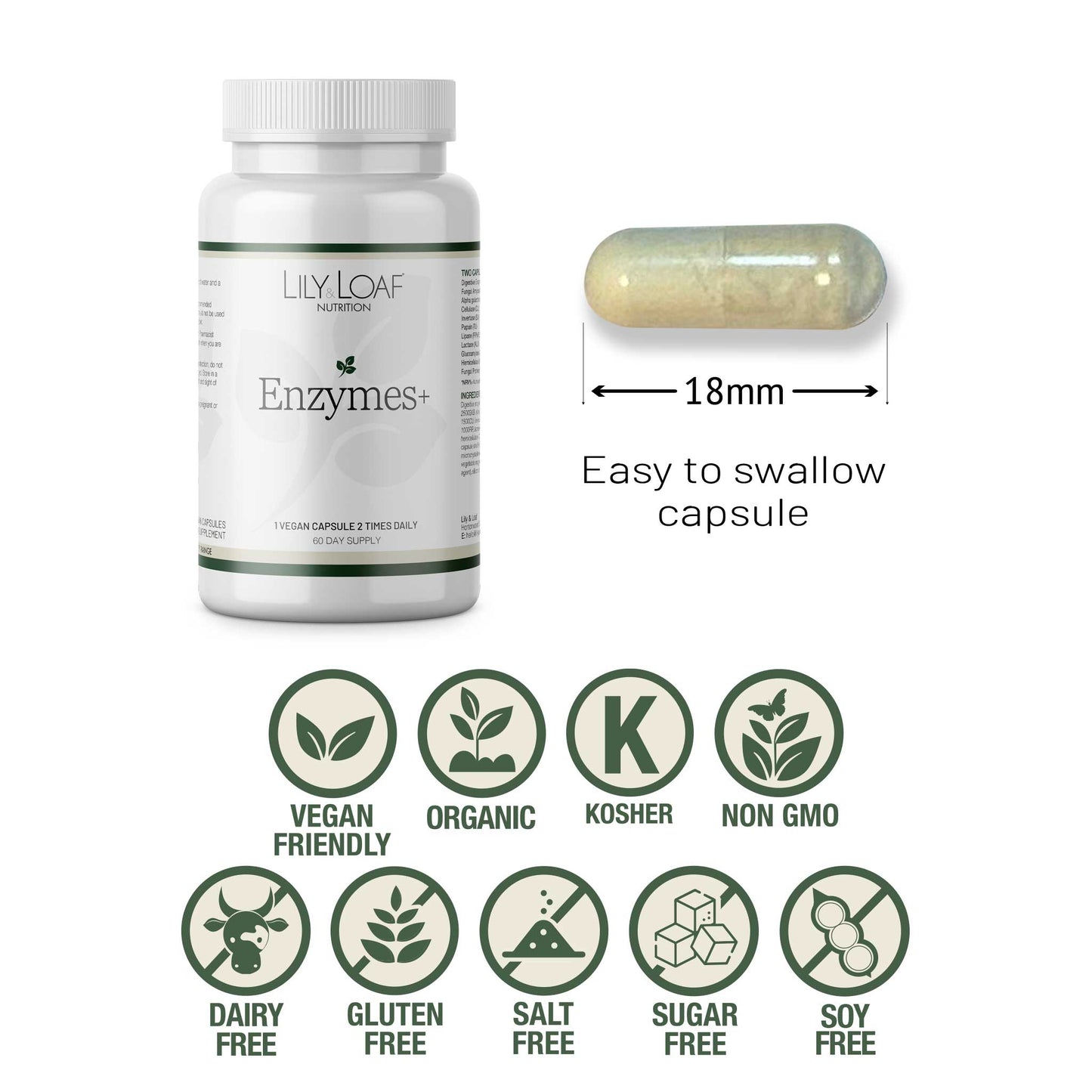 Enzymes + vegan, gluten free sugar free non gmo