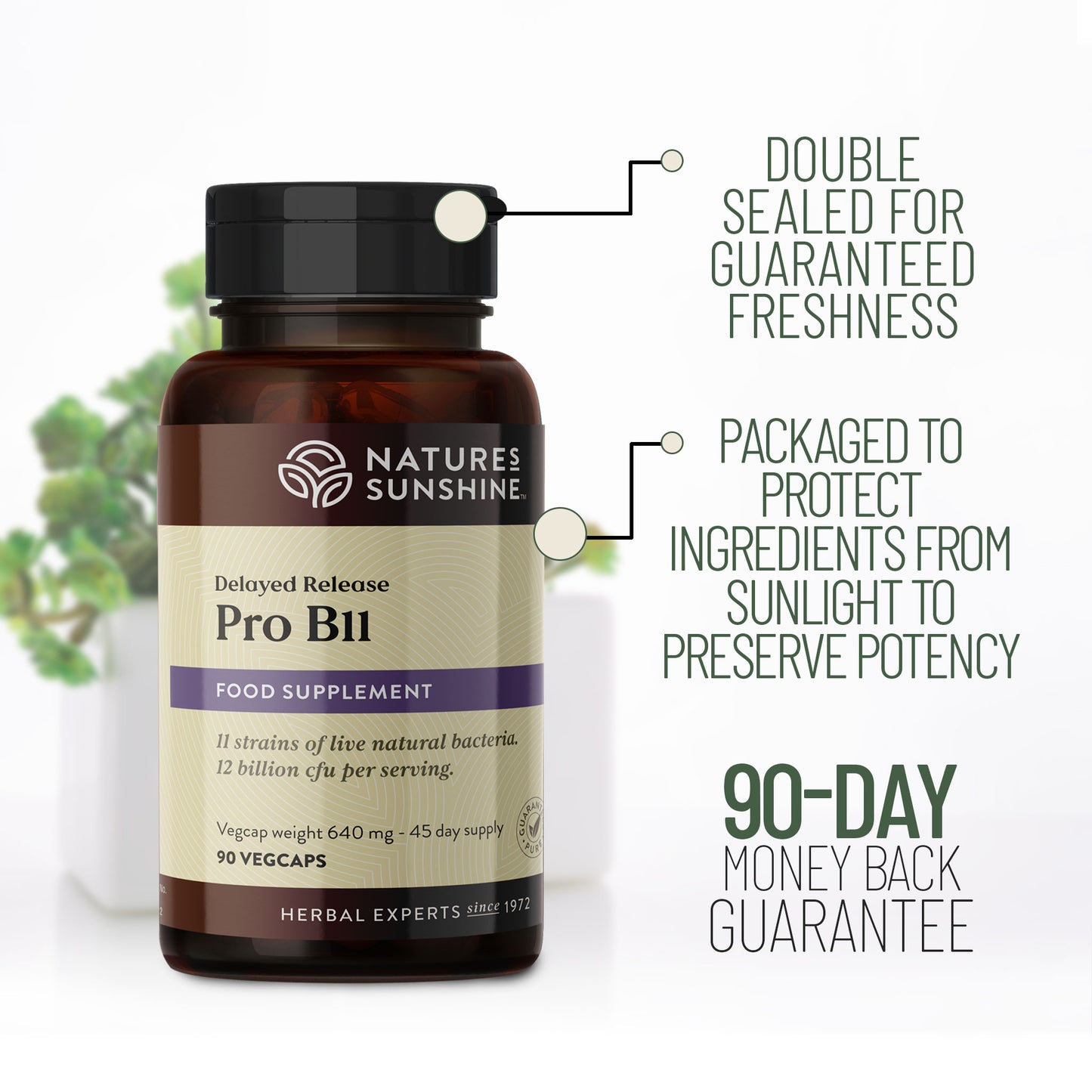 Pro B11 capsules size and free-from symbols
