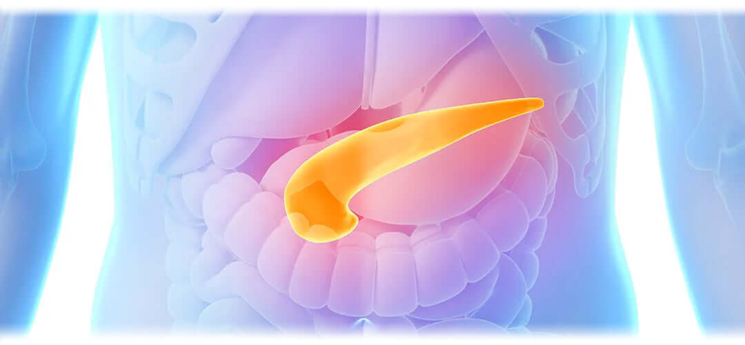 The pancreas organ highlighted in orange against a blue human body background