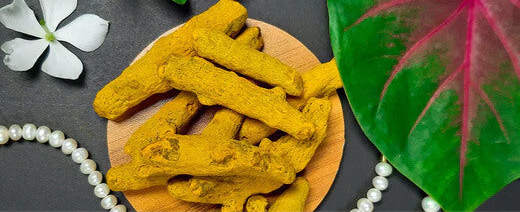 Fresh turmeric roots and ground turmeric powder