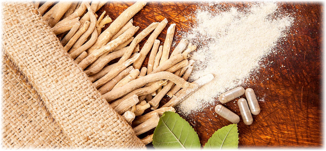 Ashwagandha roots spilling from a burlap sack, with ashwagandha powder and capsules on a wooden surface.