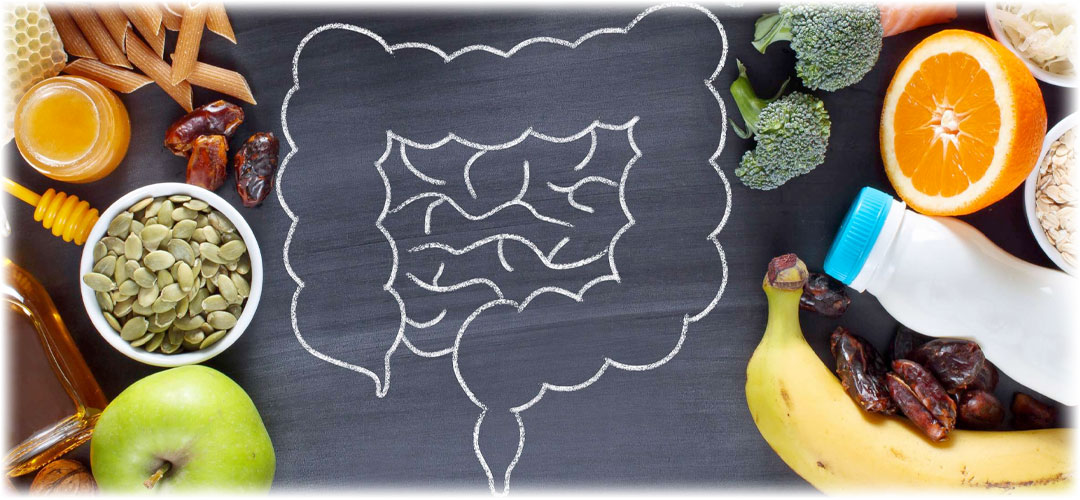 Chalk drawing of intestines on a blackboard surrounded by healthy foods like fruits, vegetables, and seeds