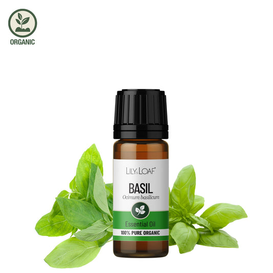 Basil Organic Essential Oil 10ml with ingredient