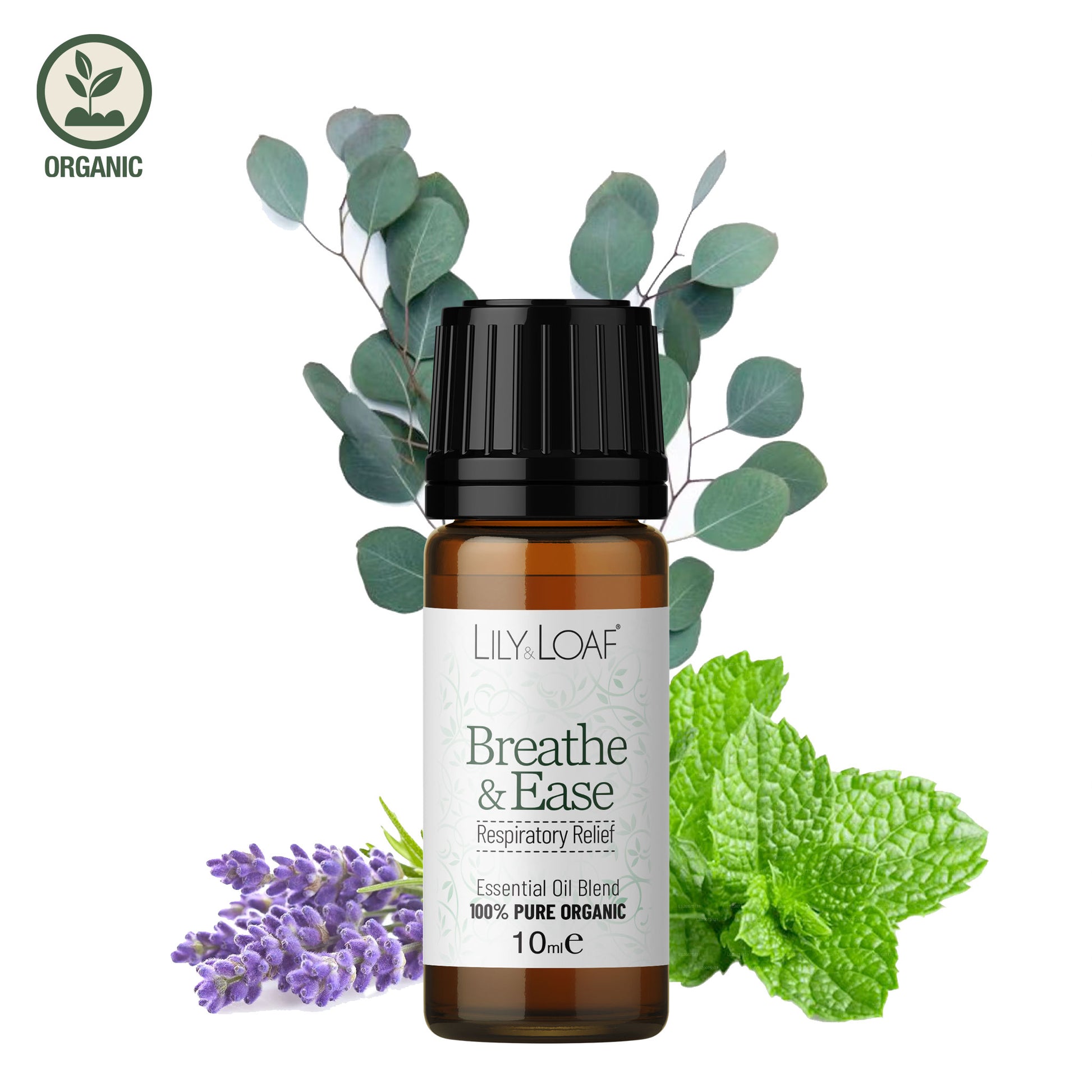 Lily & Loaf Breathe & Ease Aromatherapy Blend offer respiratory support, pain relief and immune support