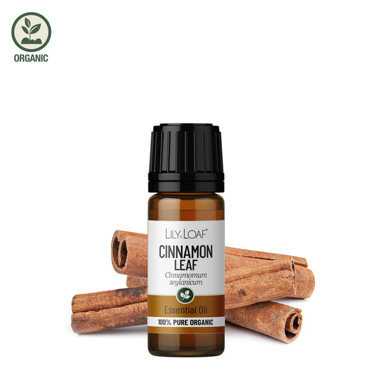 Cinnamon Bark Organic Essential Oil surrounded by cinnamon sticks and leaves depicting the botanicals included in the oil