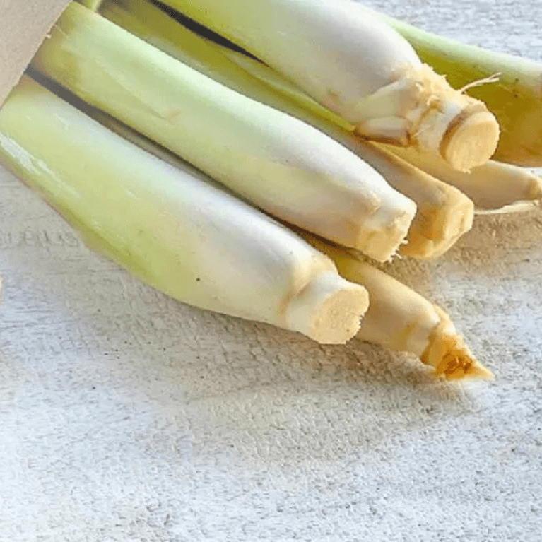 Close Up of Lemongrass