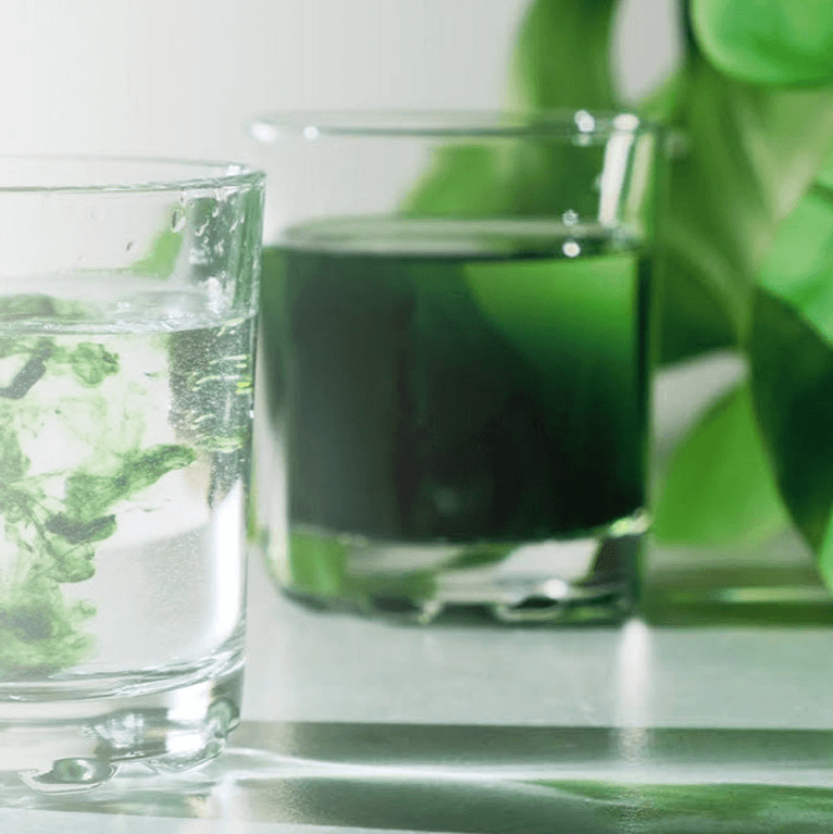 Chlorophyll in a water glass turning the drink green
