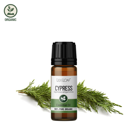 Bottle of Lily & Loaf Cypress essential oil with green leaves on a white background