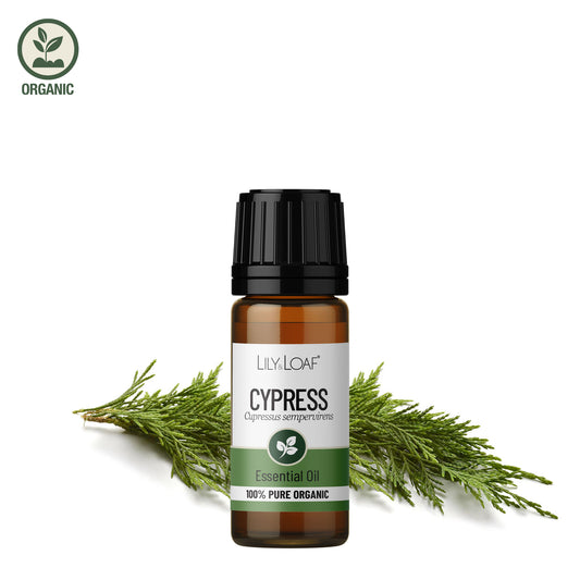 Bottle of Lily & Loaf Cypress essential oil with green leaves on a white background
