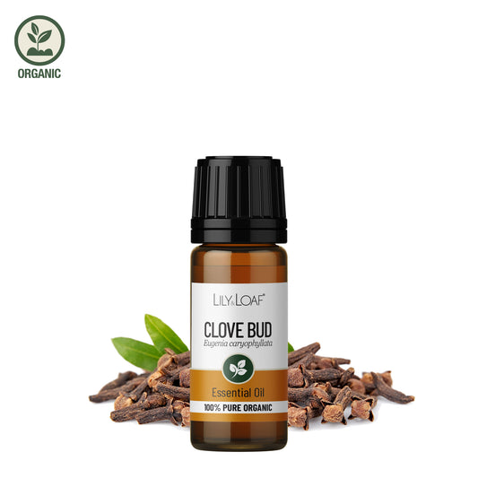 Lily & Loaf Clove Bud Organic Essential Oil surrounded by cloves depicting the ingredient in the product