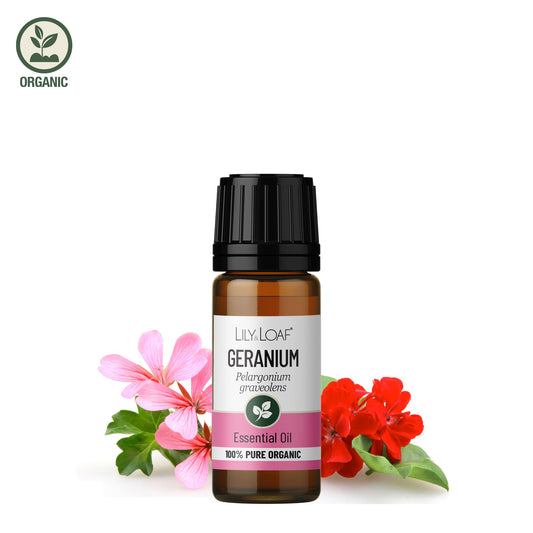 Geranium Organic Essential Oil