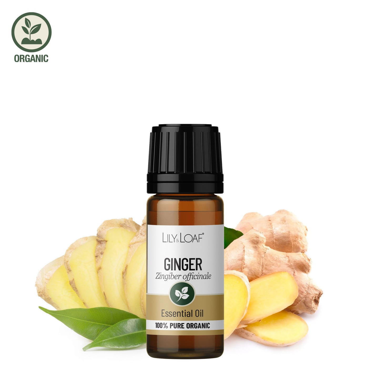 Ginger Organic Essential Oil