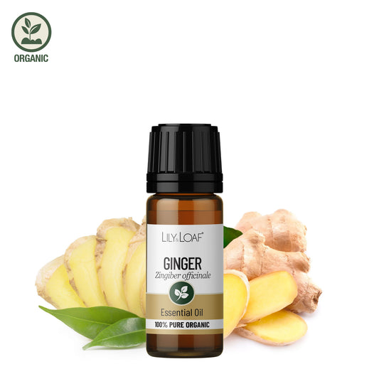 Ginger Organic Essential Oil