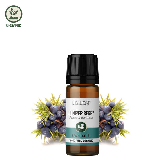 Juniper Berry Organic Essential Oil