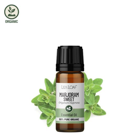 Marjoram (Sweet) Organic Essential Oil
