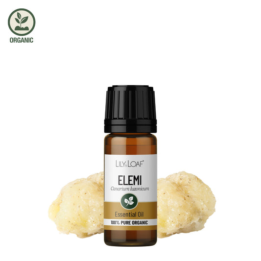 Bottle of Lily Loaf Elemi essential oil with Elemi resin on a white background
