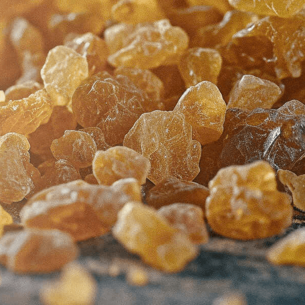Close-up of amber-coloured Elemi resin.