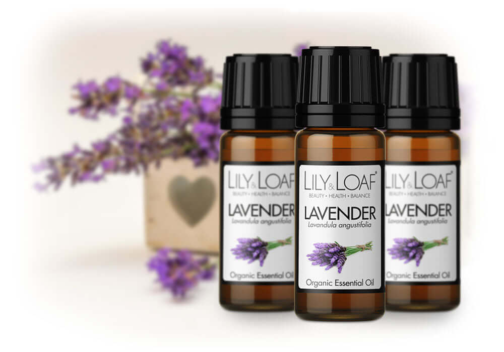Lily & Loaf organic Lavender Essential Oils with calming floral backdrop