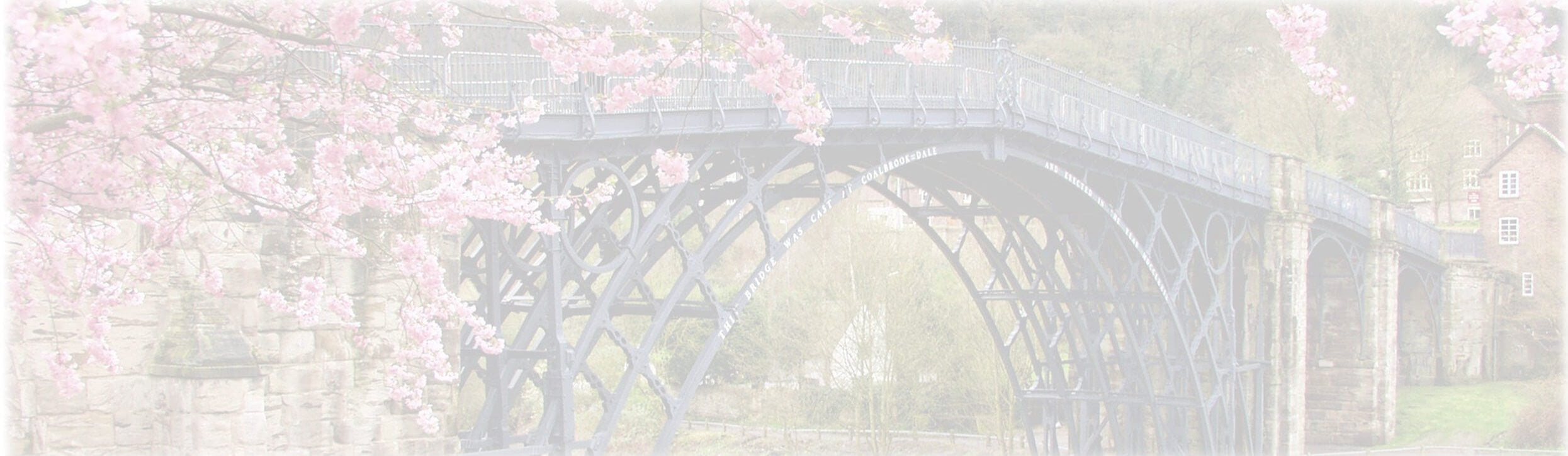 The Ironbridge in spring with cherry blossoms 