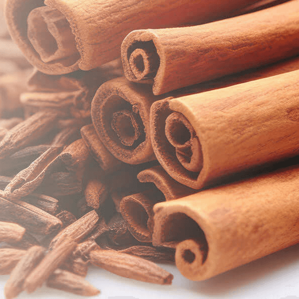 Close-up of cinnamon sticks on a white background