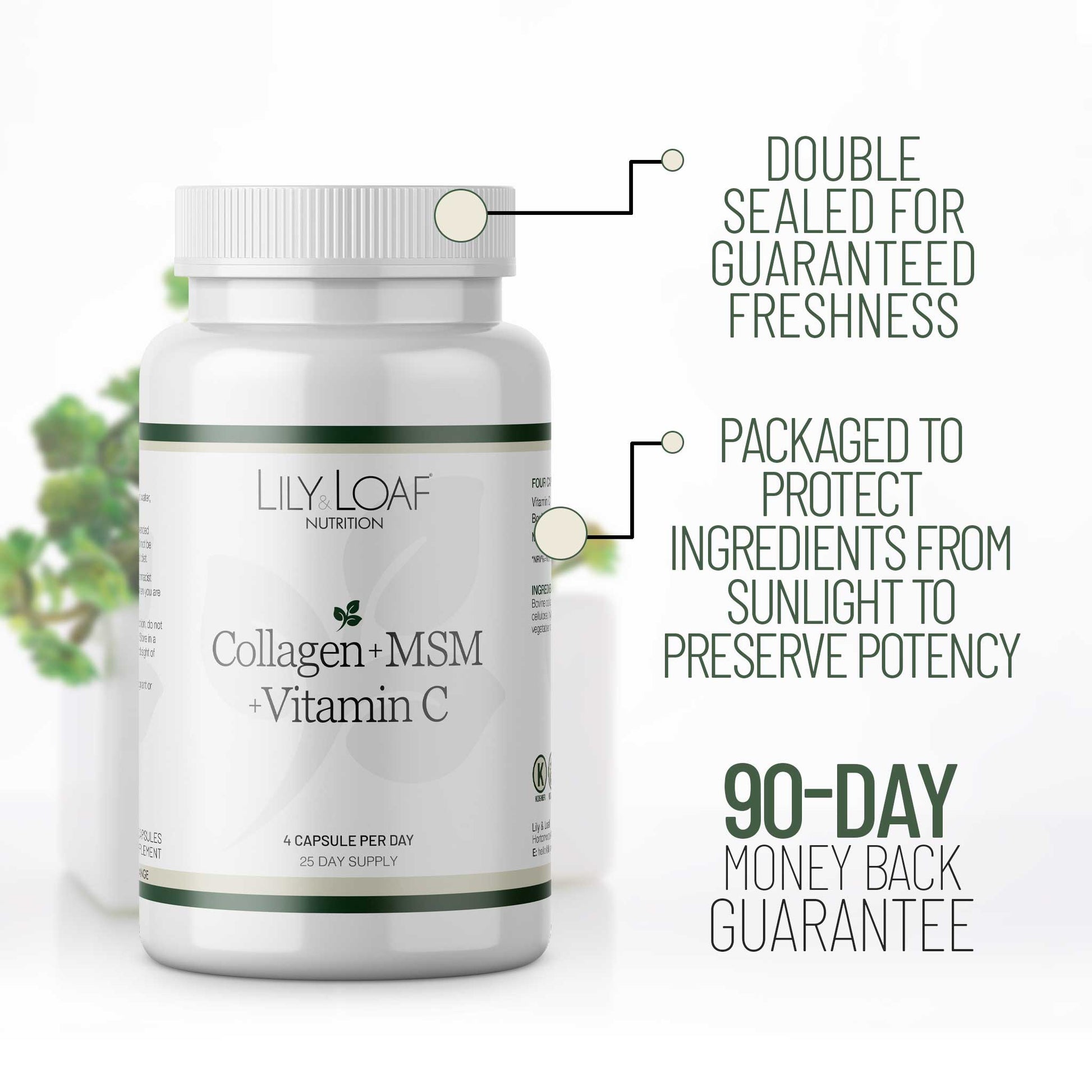 Bottle of Lily Loaf Collagen, MSM & Vitamin C with product details on a white background