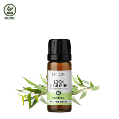 Lemon Eucalyptus essential oil bottle with leaves on a white background