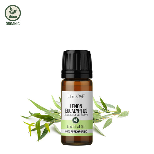 Lemon Eucalyptus essential oil bottle with leaves on a white background