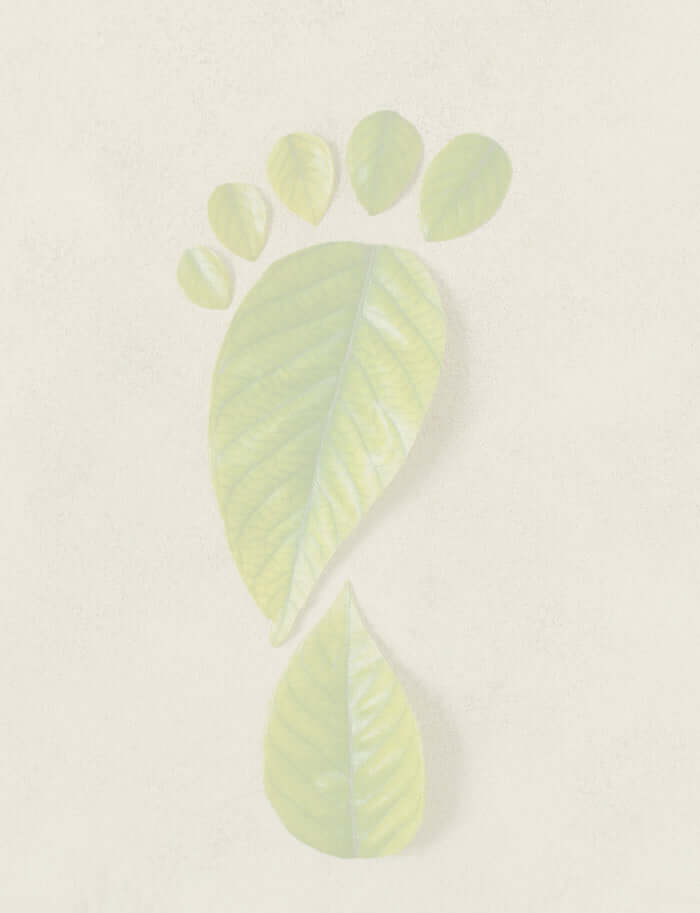 Green leaves in the shape of a footprint