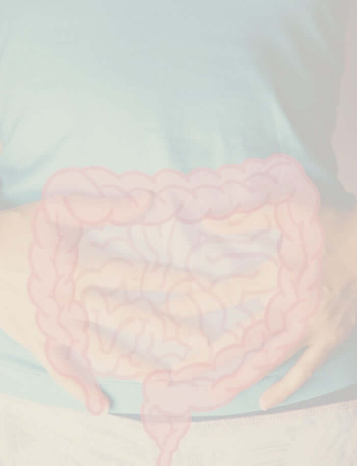 Mobile version of an overlay of the intestines on a person's stomach