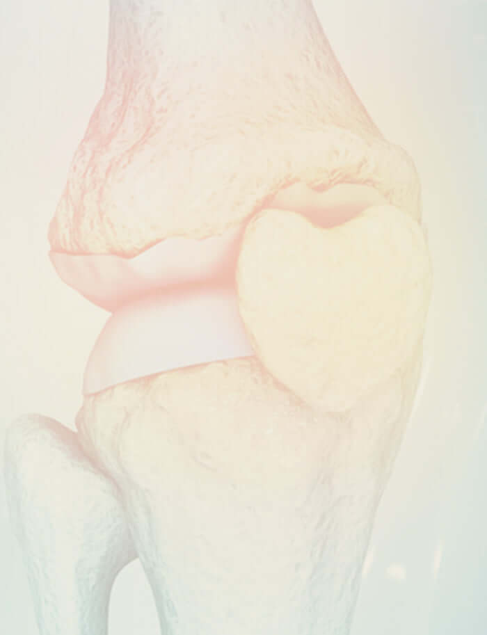 mobile version of a representation of a knee joint