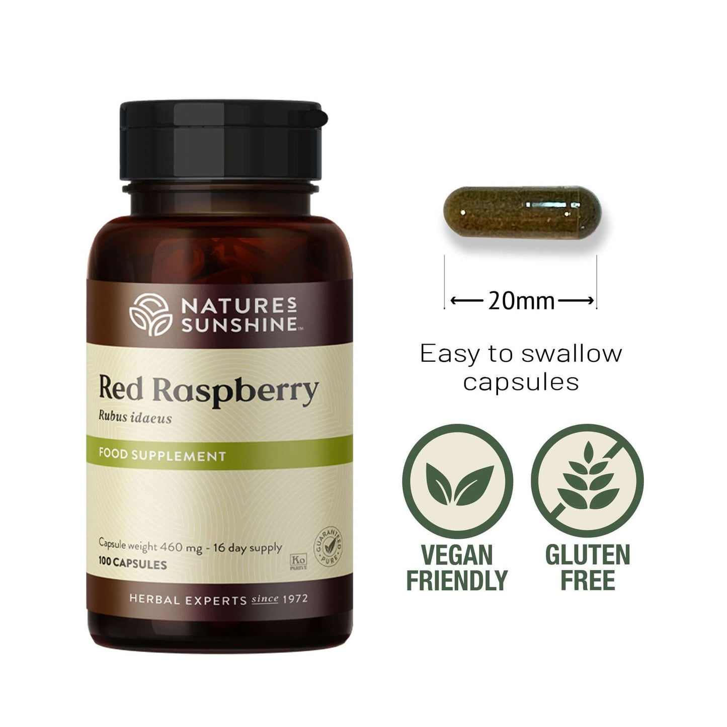 Red Raspberry