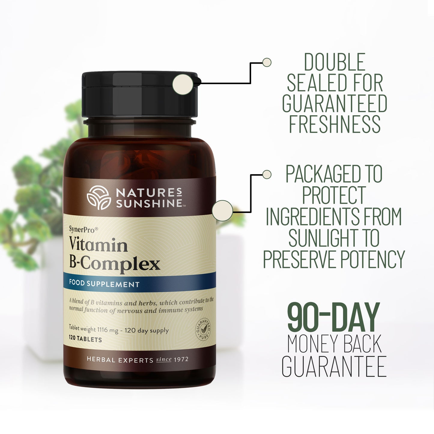 Bottle of Nature's Sunshine Vitamin B Complex - 90-day money-back guarantee