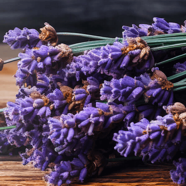 Bouquet of lavender flowers on a wooden surface with a dark background