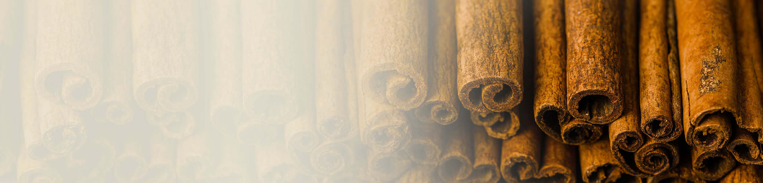 Aromatic cinnamon sticks closely arranged, representing the warm and spicy essence of Cinnamon Essential Oil.