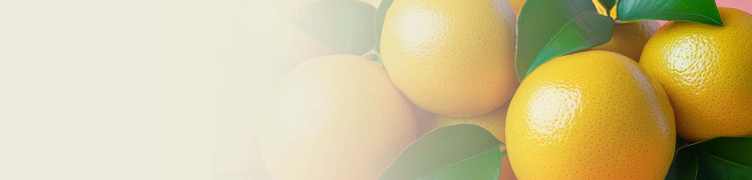 Fresh grapefruits with green leaves, showcasing the vibrant citrus source of grapefruit essential oil