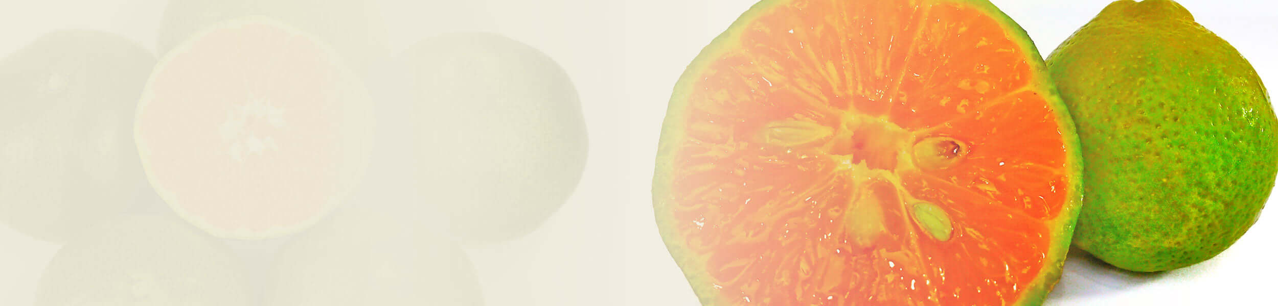 Fresh green mandarins, including a vibrant orange cross-section, showing juicy pulp and seeds, used in essential oil extraction.