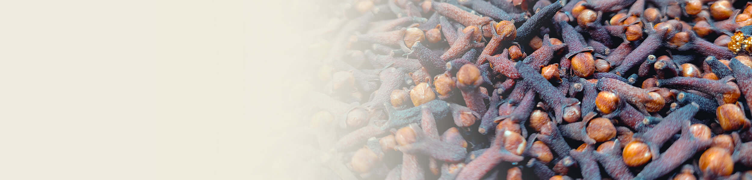 A close-up of dried clove buds with rich brown hues, showcasing the natural ingredient used in essential oil production.
