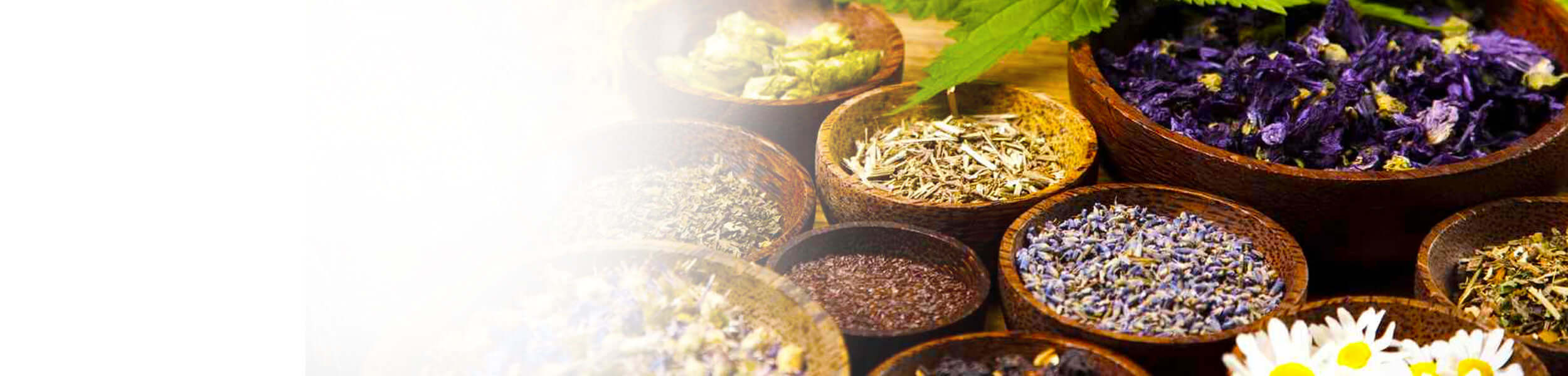 Various dried herbs and flowers in wooden bowls used for homeopathy and natural remedies.
