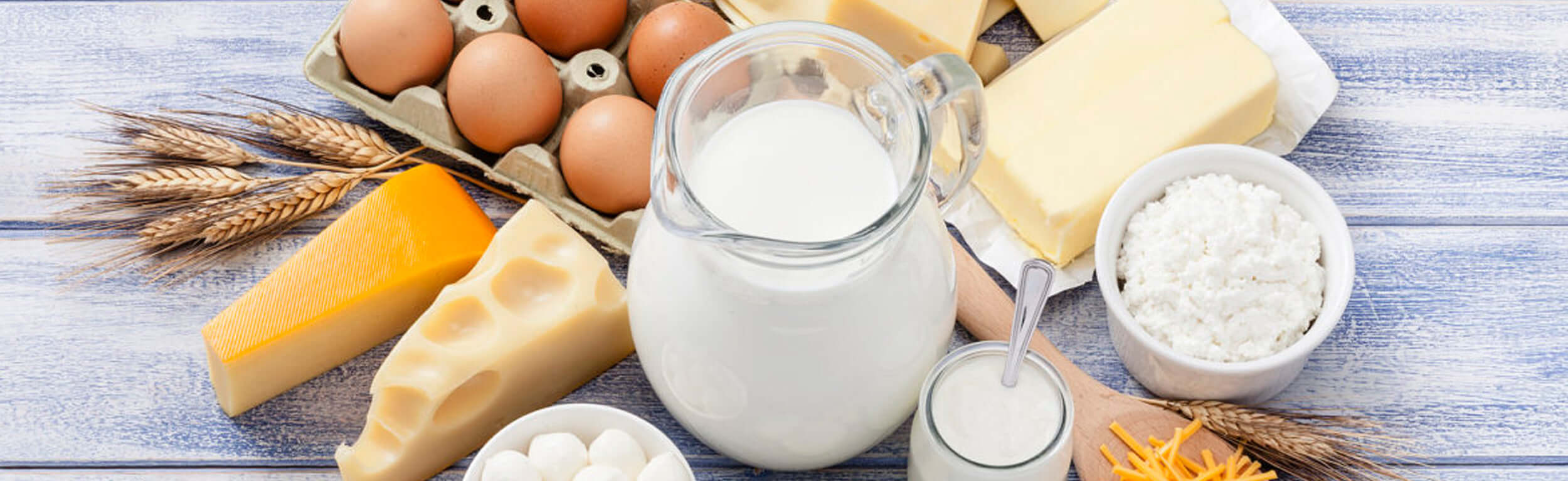 A selection of dairy products, including cheese, milk and butter