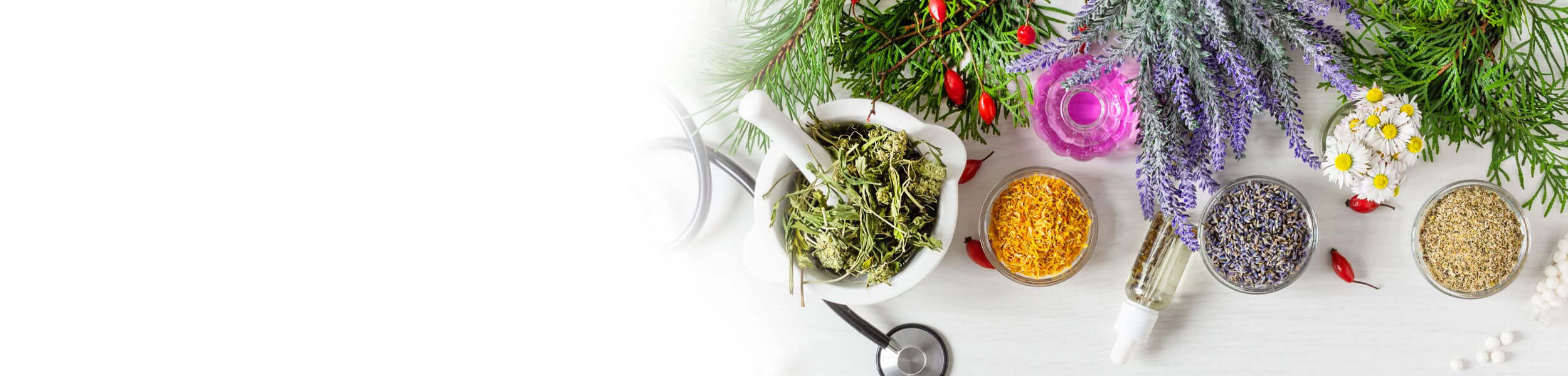 A selection of dried herbs, essential oils, and medicinal plants on a white background.