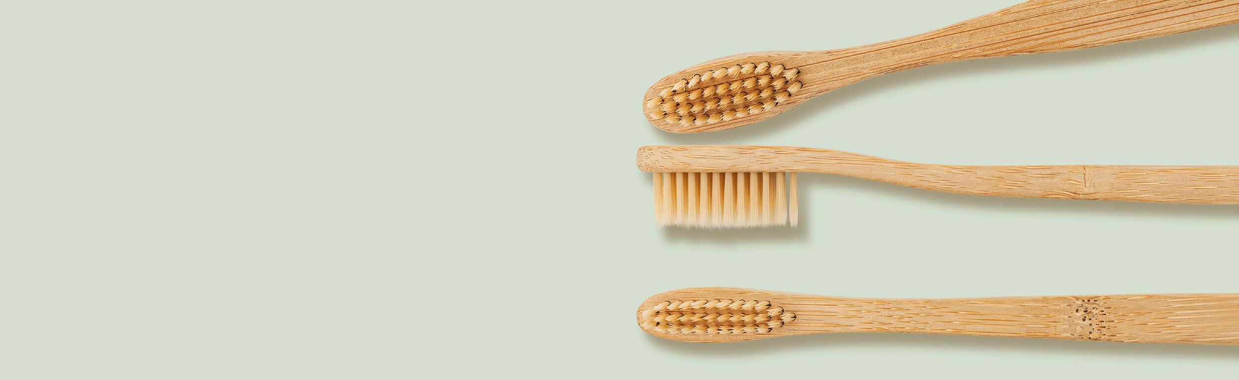 organic bamboo toothbrushes