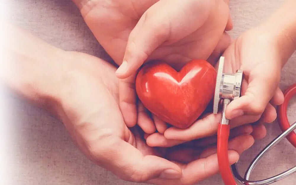 Hands holding a ceramic heart