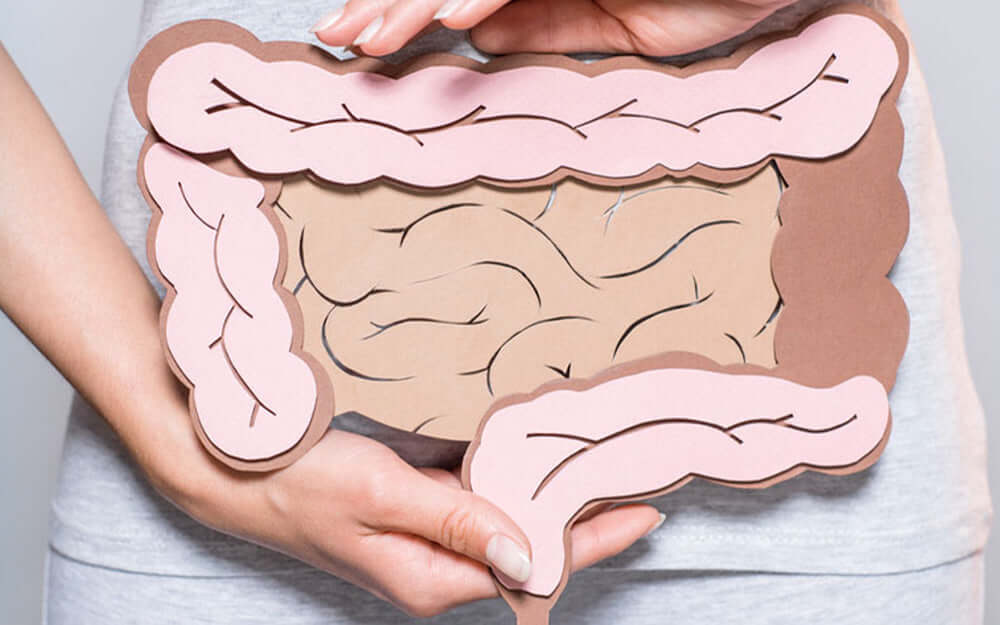 A woman holding a representation of the intestinal system against her stomach