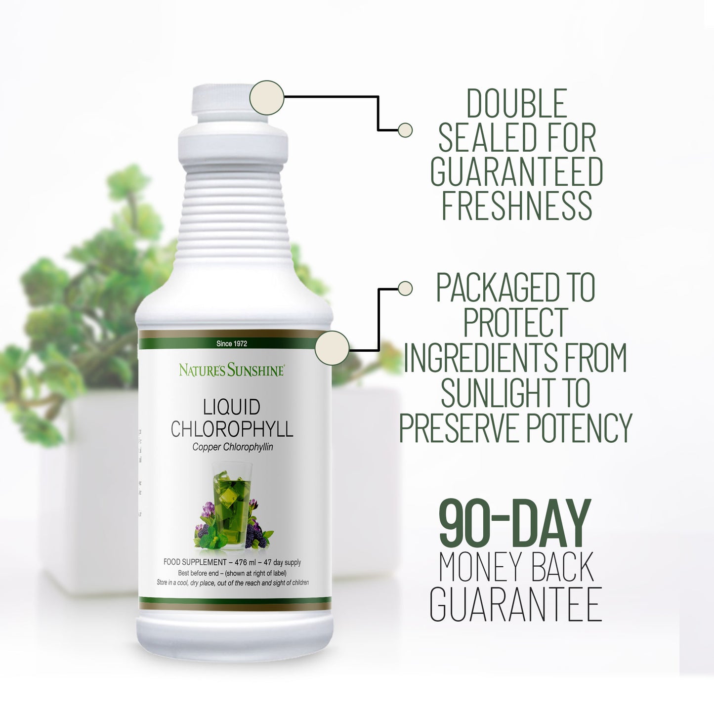 Liquid Chlorophyll label information